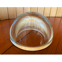 Willem Noyons UMCU zoutvaatje